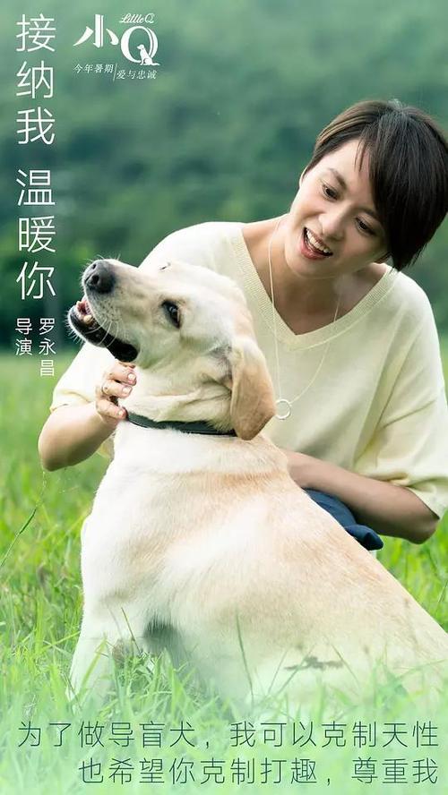 定制寇提学院成绩单